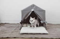 Louisdog（ルイスドッグ）Organic Peekaboo/Oxford Grey Petit オーガニック ピーカブ オックスフォード グレー