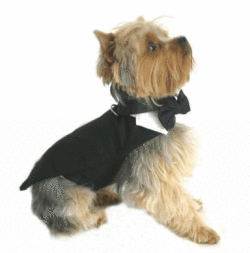 【Doggie Design】Black Tuxedo, Tails, Top Hat and Bow Tie Collar タキシード
