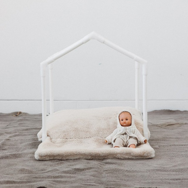 Louisdog（ルイスドッグ）Organic Peekaboo/Oxford Lavender Petit オーガニック ピーカブ オックスフォード ラベンダー