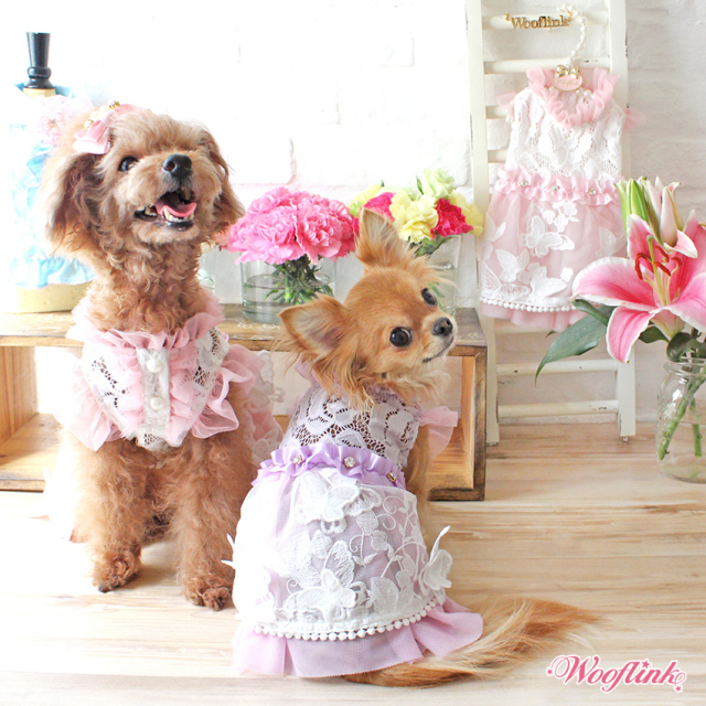 Wooflink（ウーフリンク）通販 犬用ドレス BUTTERFLY GARDEN PINK バタフライ ガーデン ピンク - AbbyAdela