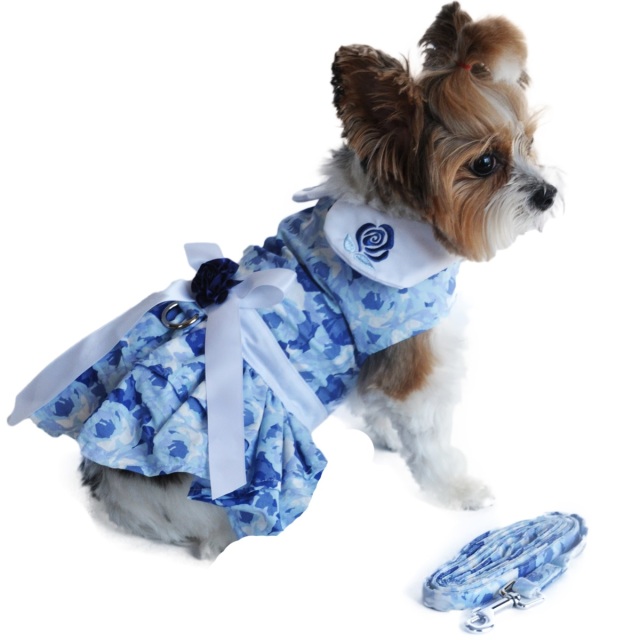 Doggie Design（ドギーデザイン）ドッグウェア Blue Rose Harness Dress ブルー ローズ ハーネス ドレス