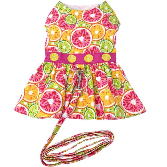 Doggie Design（ドギーデザイン）ドッグウェア Citrus Slice Dog Dress シトラス スライス ハーネス ドレス