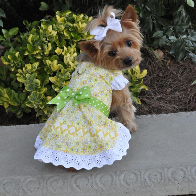 Doggie Design（ドギーデザイン）Emily Yellow Floral and Lace Dog Dress