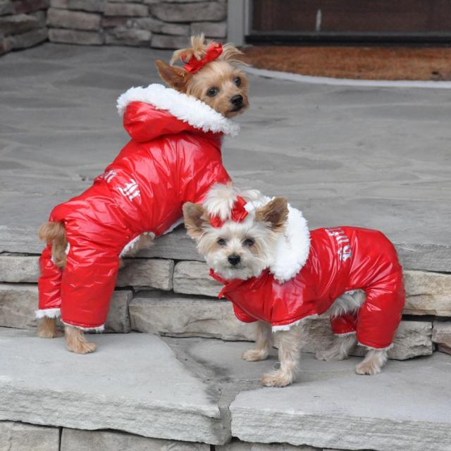 Doggie Design（ドギーデザイン）ドッグウェア Red Ruffin It Dog Snow Suit Harness レッド ラフィン スノー スーツ